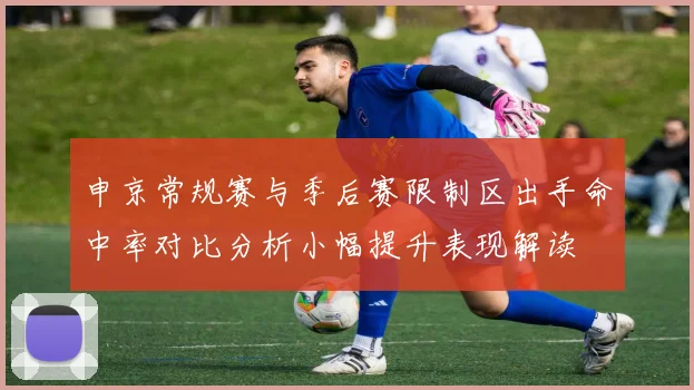 申京常规赛与季后赛限制区出手命中率对比分析小幅提升表现解读